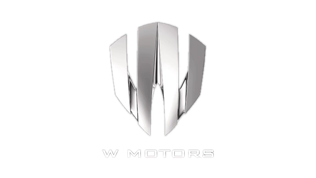 w motors - auto pezzi