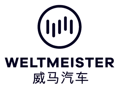 weltmeister - auto pezzi